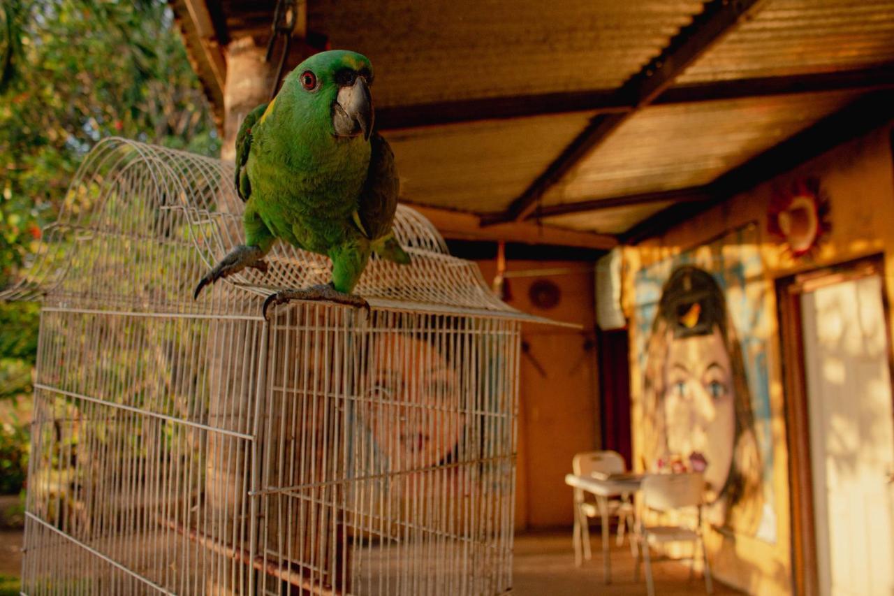 Appartement La Casa Del Artista à Esquipulas Extérieur photo